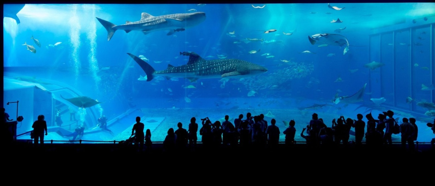 Offres pédagogiques et actualités culturelles de Pôle Muséal du Grand Nancy : Muséum-Aquarium et Féru des Sciences