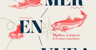 Mer en vue