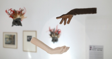 Lycée Jean Moulin- Forbach – Dispositif FRAC « élèves curateurs » :  La fabrique de monstres