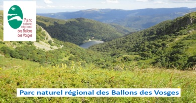 Parc naturel régional des Ballons des Vosges Parc naturel régional des Ballons des Vosges